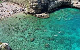 Terrazza Santo Stefano Vacation Rental Polignano A Mare  Italy